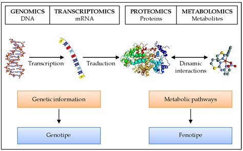 Proteomics and Metabolomics in Aortic Stenosis: Studying Healthy Valves for a Better ...