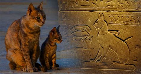 The Cat Came Back: A More Than Mythical History – Part I | Ancient, Egyptian cats, Ancient origins