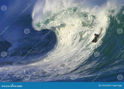 Surfing A Big Wave At Waimea Bay In Hawaii Editorial Stock Image ...