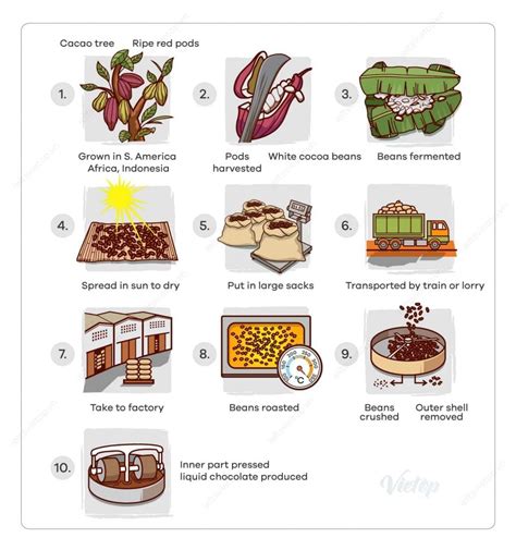 IELTS Essay: Cocoa Beans and Chocolate Process Diagram | How to do IELTS