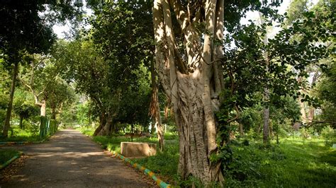 Botanical Gardens - Pondicherry ｜Expedia.co.in