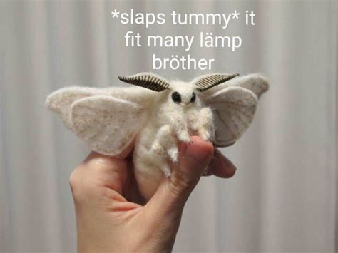 27 Moth Memes That Will Bring You Towards The Light - Funny Gallery | eBaum's World