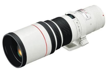 Best Canon Lenses for Wildlife and Birds in 2022 - Best Photography Gear