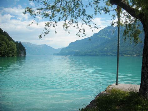 Lake Thunersee | Places to go, Travel, Favorite places