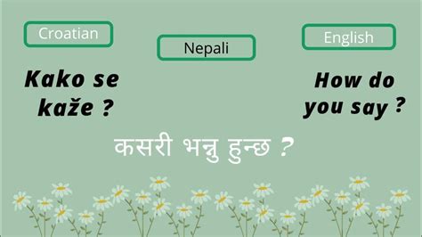 Basics Croatian language Phrases In Nepali || #croatian - YouTube