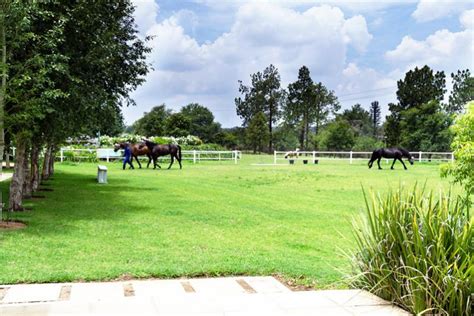 The Paddocks - Kyalami Park Accommodation.