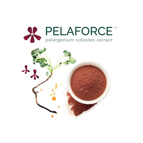 PELAFORCE™ Pelargonium sidoides extract | AFRACEUTICALS