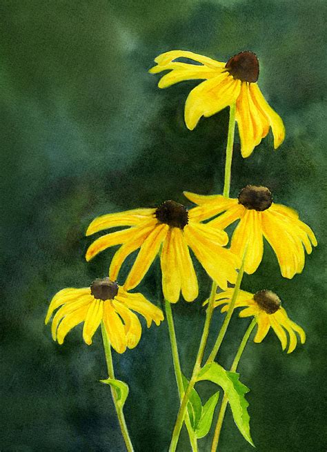 Black Eyed Susans dark background 2 Painting by Sharon Freeman - Fine Art America