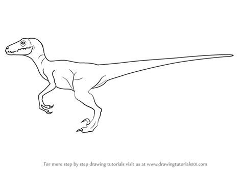 Learn How to Draw a Velociraptor (Dinosaurs) Step by Step : Drawing Tutorials