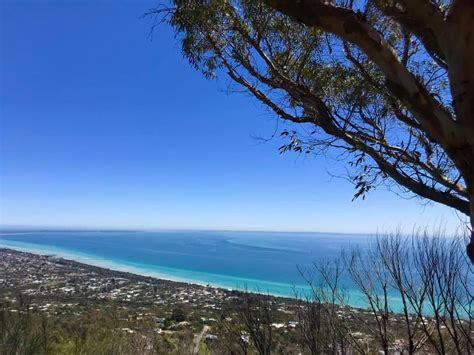 Arthurs Seat Park, Mornington Peninsula - Eco Explorers