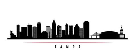 1,600+ Tampa Skyline Stock Photos, Pictures & Royalty-Free Images - iStock