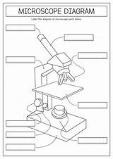 Microscope Drawing Label Sketch Compound Light Binocular Template  sketch template