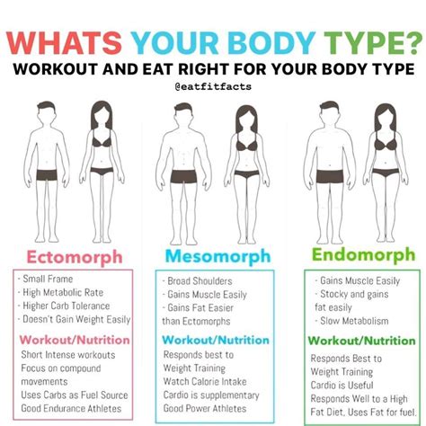 Pin by Kalyan Stanliey on G Knowledge in 2020 | Body type workout, Metabolic workouts, Slow ...