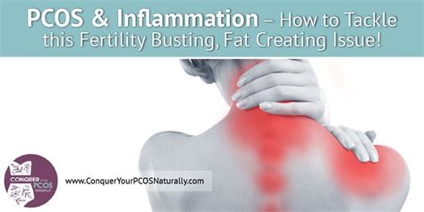 PCOS And Inflammation - How To Tackle This Fertility Busting, Fat ...