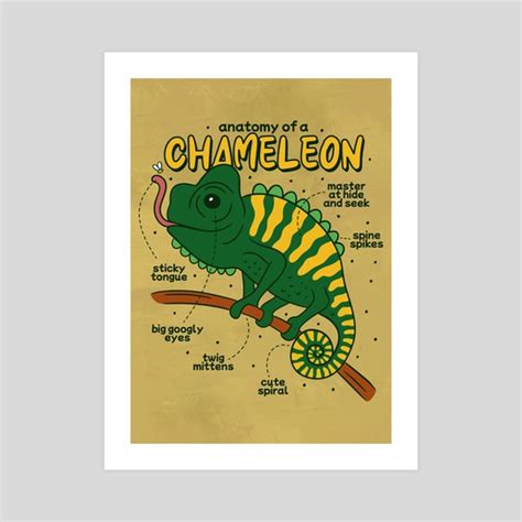 Chameleon Anatomy, an art print by Pretty Pixels - INPRNT