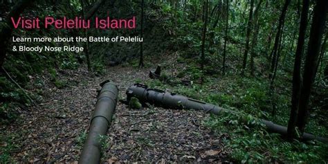 Peleliu Island the Battle of Peleliu and Bloody Nose Ridge