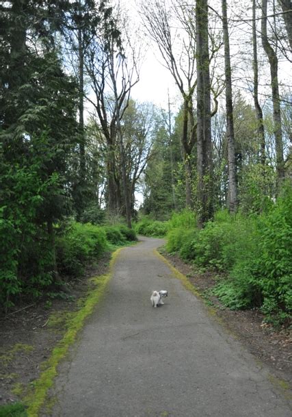 Cedar Lanes Park - Auburn Parks & Recreation