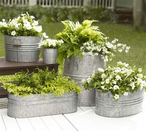 Galvanized Metal Tubs, Buckets, & Pails as Planters - Driven by Decor