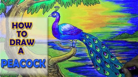 HOW TO DRAW A peacock || LESSON 34 || ONLINE DRAWING CLASSES - for kids ...