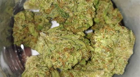 Strain Review: Northern Berry by Full Moon Farms - The Highest Critic