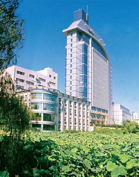 Anhui Medical University (Nanjing, China)