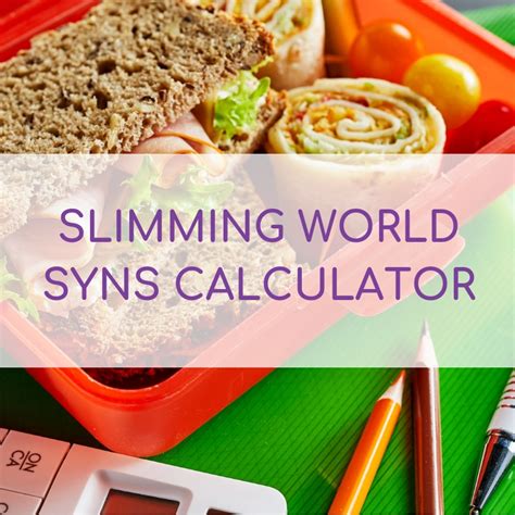 Slimming World Syns Calculator 2024 - Slimming Violet - Recipes & Cooking Advice