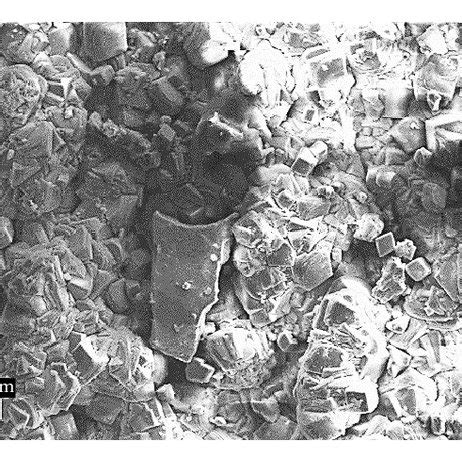 Microstructures of steels (Nital 2 etching). | Download Scientific Diagram