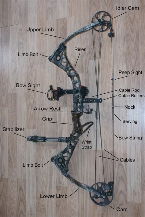 Bow String Diagram at Harold Cook blog