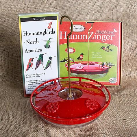 Hummingbird Kit | Hummingbird, Hummingbird plants, Kit