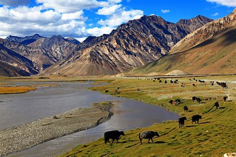 Valley of Zanskar (Padum - Lamayuru)