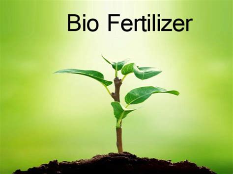 biofertilizers Organic Liquid Fertilizer, Agricultural Science, Microbial, Agriculture, Poultry ...