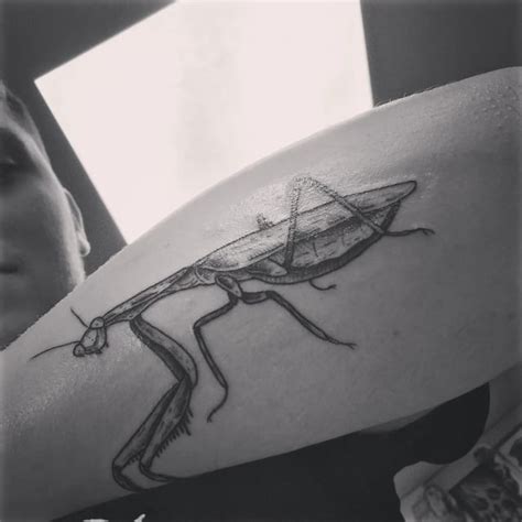 My new praying mantis tattoo : r/praying_mantis