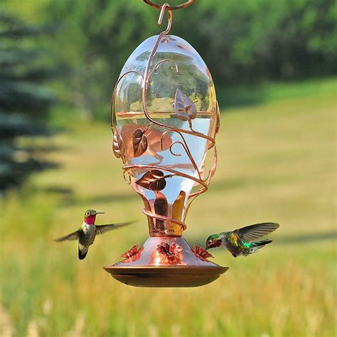 Unique Hummingbird Feeders [Our Favorites!] - Birdwatching Buzz