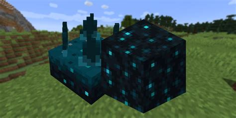 Minecraft Sculk Catalyst Guide: How to Find & Use It