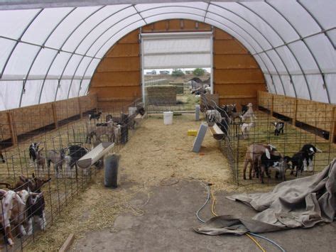 154 Best Goat Barn images | Goat barn, Goat farming, Goat house