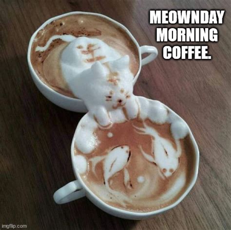 Monday Morning Coffee Cat. - Imgflip