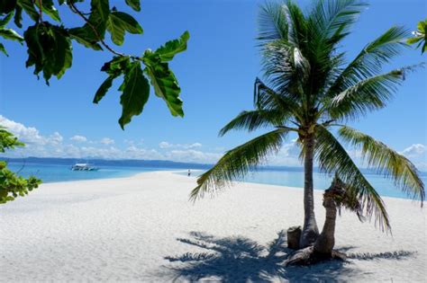 CEBU TO PALOMPON BY FERRY (Schedule and Rates)