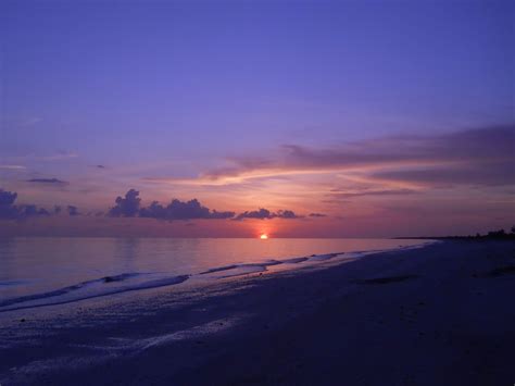 Sanibel Sunset | Sunset, Favorite places, Outdoor