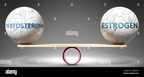 La testosterona y estrógeno en equilibrio - foto como bolas de equilibrado en la escala que ...