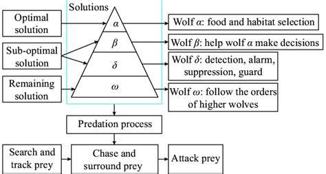 Leadership hierarchy of wolf group. | Download Scientific Diagram