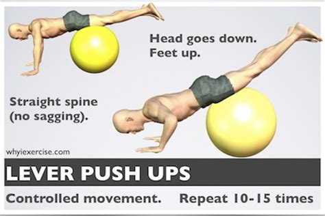 Stability ball exercises: videos and illustrations