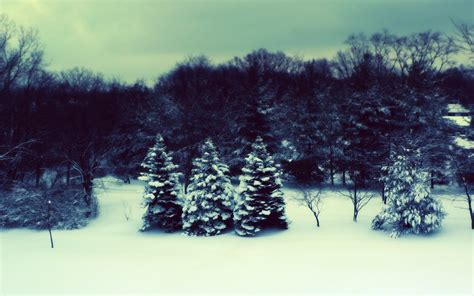 🔥 [40+] Snowy Forest Desktop Wallpapers | WallpaperSafari