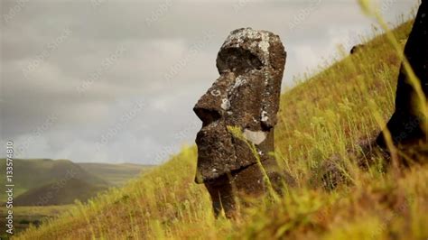 Easter Island Head Standing Tall Stock Video | Adobe Stock