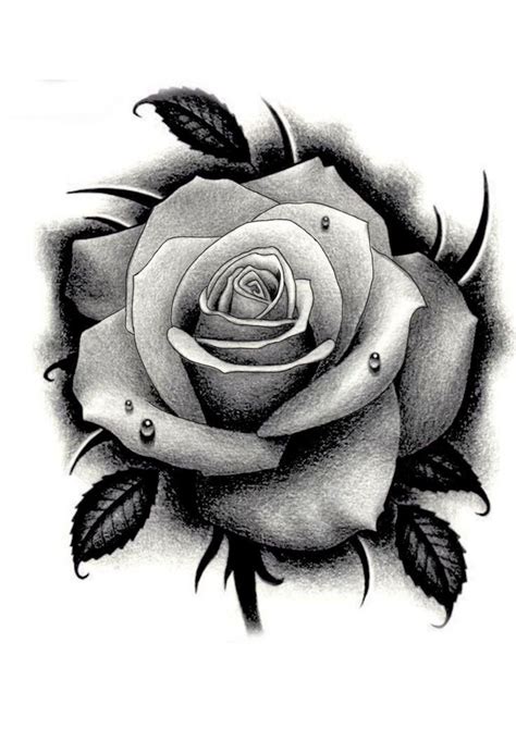 Rose tattoo | Rose drawing tattoo, Rose flower tattoos, Realistic rose ...