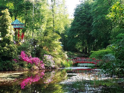 Festival of Gardens at Portmeirion | Gardens North Wales