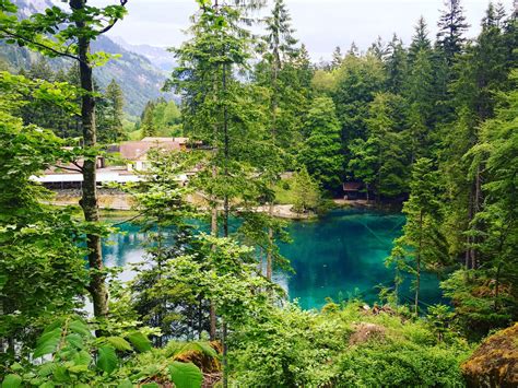 See why Lake Blausee is stunning during all seasons