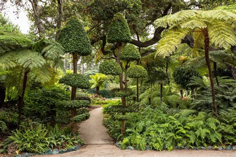 Fern Garden — Ganna Walska Lotusland