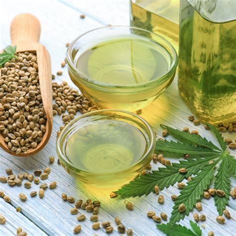 What is hemp oil? | Nature's Arc Organics