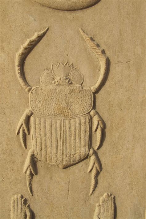 egypt-museum: The scarab beetle (”Khepri”) is a sign of transformation and beginnings in Ancient ...