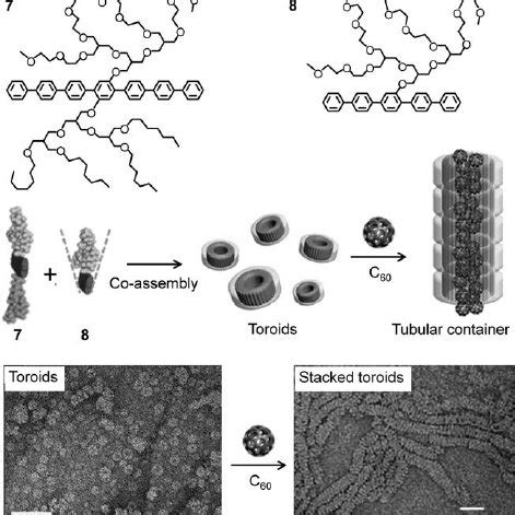 Molecular structure of amphiphile 11 , TEM images and schematic... | Download Scientific Diagram